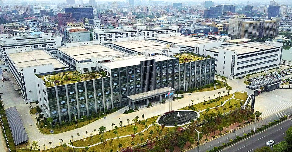 pic2.jpg