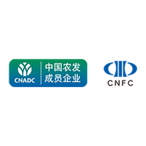 logo.jpg