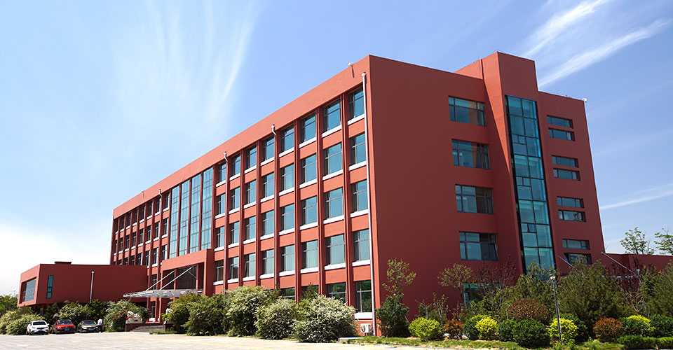 04.jpg