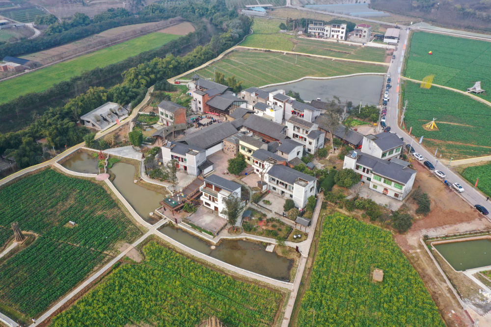 鄉(xiāng)村振興.jpg
